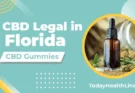 Can you Is CBD Legal in Florida?